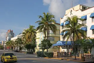 Ocean Drive in Miami Beach: pastel Art Deco hotels and palm trees on a sunny day