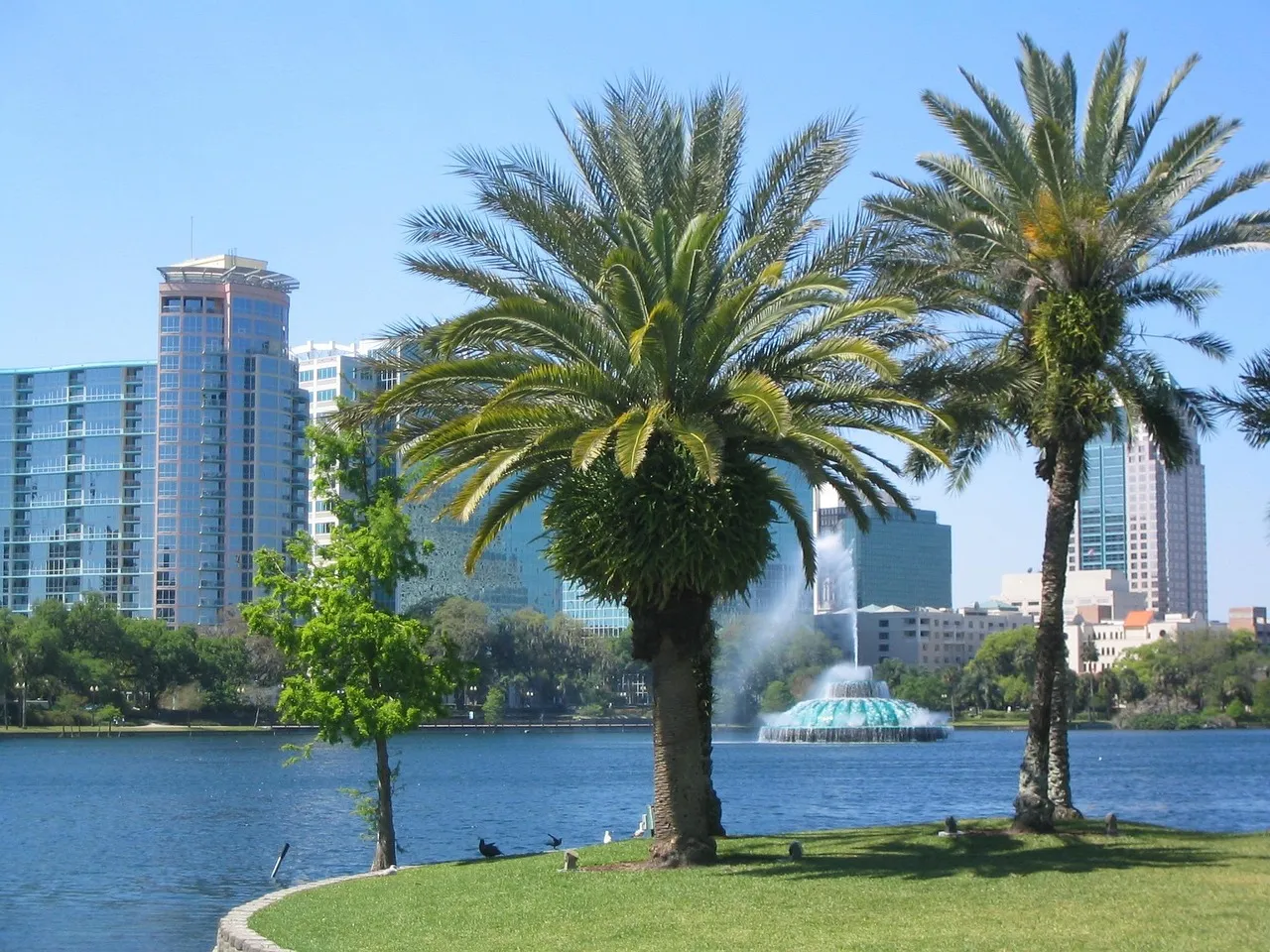 Palm trees on the shore of Lake Eola in downtown Orlando, with the lake fountain and city towers behind