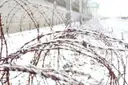 Rostiger Stacheldraht voller Schnee in einem ehemaligen Konzentrationslager