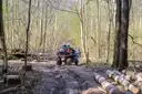 Ein Quad auf einem schlammigen Weg zwischen kahlen Bäumen und gefällten Stämmen