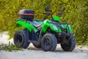 Ein grünes Quad steht auf Sand vor Büschen