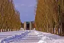 Eine verschneite Allee kahler Pappeln an der KZ-Gedenkstätte Dachau