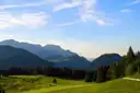 Grüne Wiesen und Wald unter einer langen Alpenkette