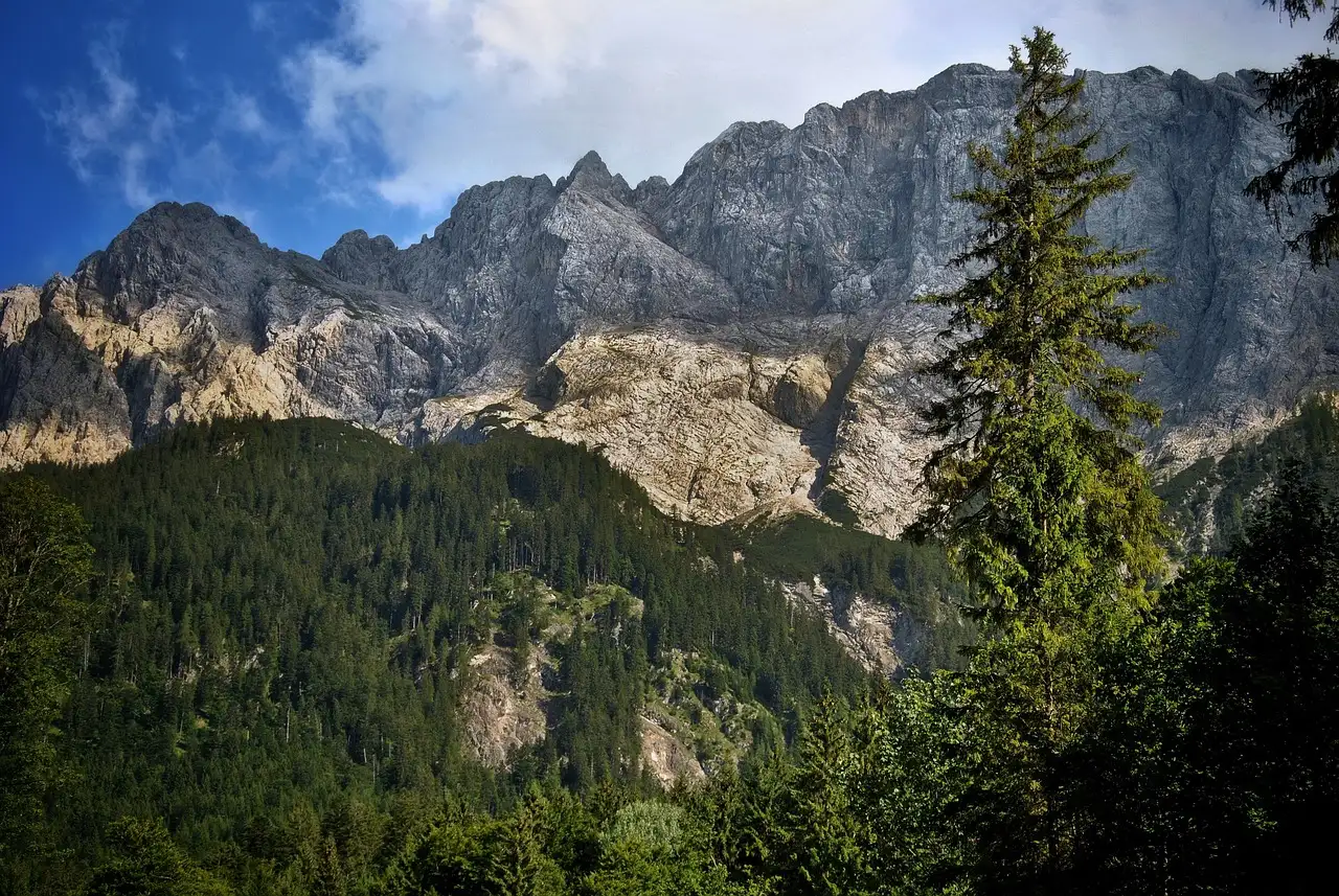 Die Felswände des Zugspitzmassivs über dunkelgrünem Wald