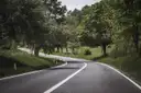Una carretera secundaria vacía que serpentea entre árboles verdes
