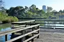 Un embarcadero de madera en el lago del Hermann Park, con árboles y una torre alta detrás