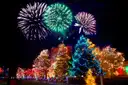 Árboles envueltos en luces navideñas de colores con fuegos artificiales encima; es una foto genérica de luces navideñas