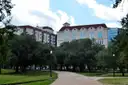 Un camino con sombra en el Hermann Park, con edificios detrás de los árboles