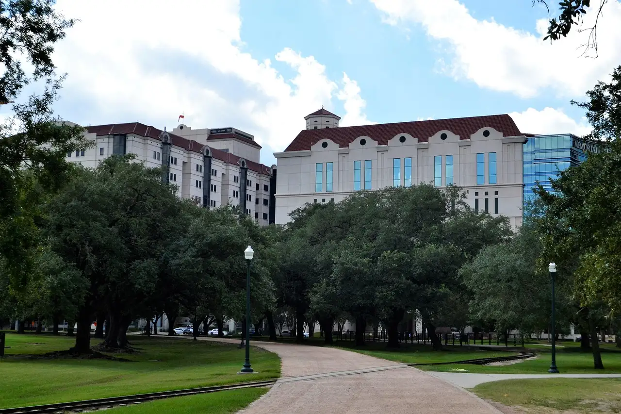 Un camino con sombra en el Hermann Park, con edificios detrás de los árboles