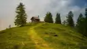 Un camino de hierba que sube por una colina verde hasta una cabaña de madera entre abetos