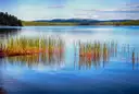 Un lago azul con juncos y colinas con bosque en el parque Algonquin