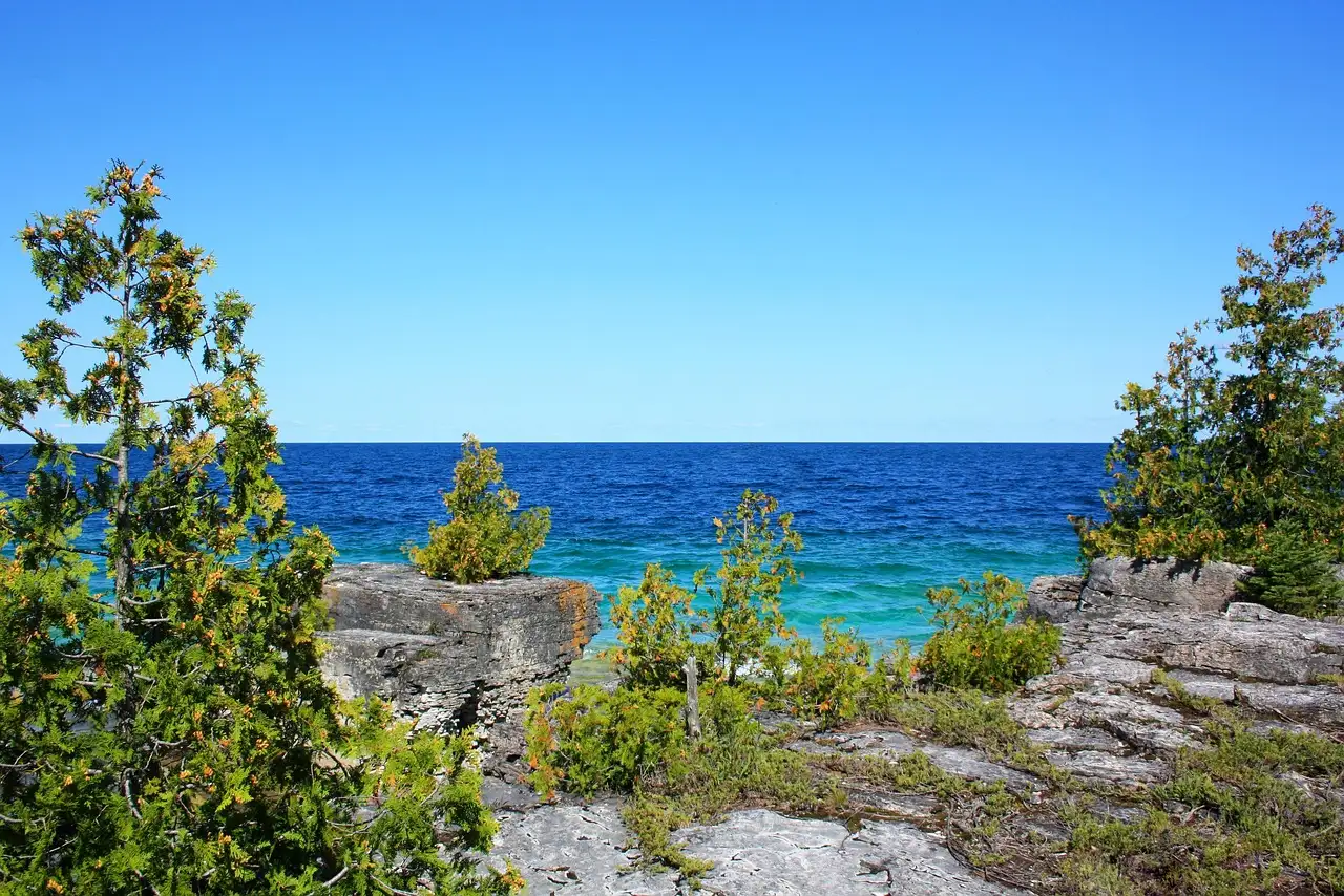 Cedros sobre una orilla de caliza junto al agua turquesa de la bahía Georgiana, cerca de Tobermory