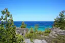 Cedros sobre una orilla de caliza junto al agua turquesa de la bahía Georgiana, cerca de Tobermory