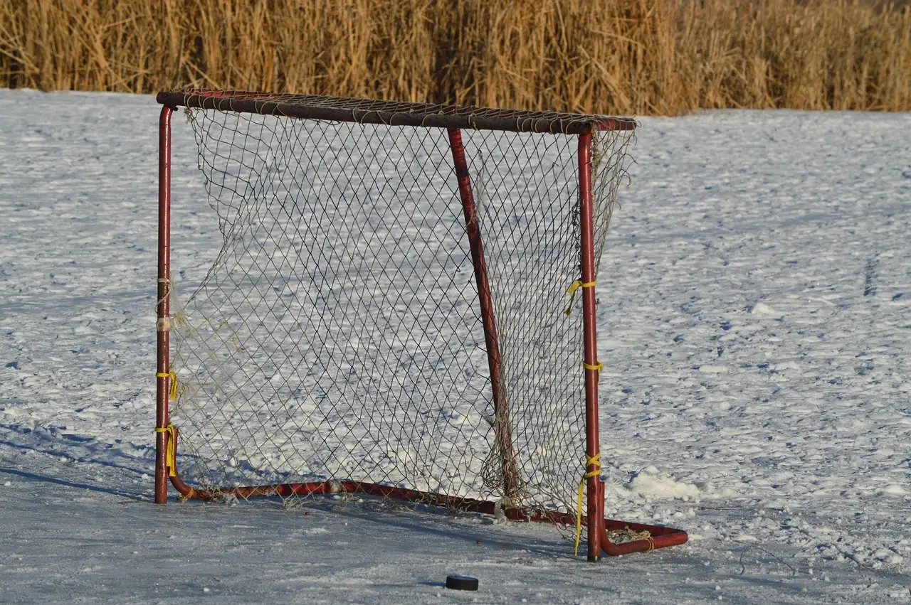 Una portería de hockey roja y un disco negro sobre un estanque helado y nevado