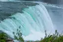 El agua verde se curva sobre las cataratas Horseshoe, con plantas de la orilla delante