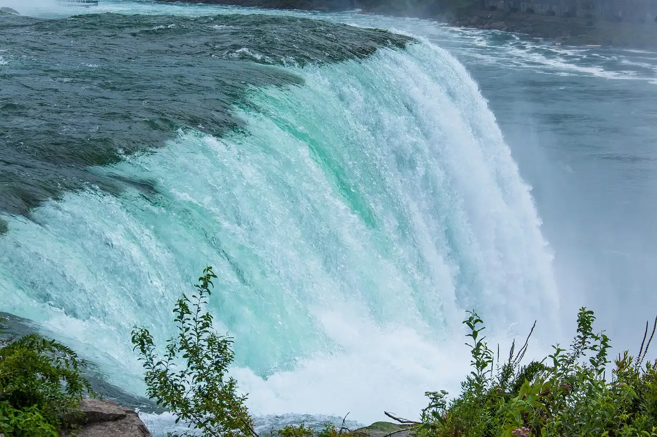 El agua verde se curva sobre las cataratas Horseshoe, con plantas de la orilla delante