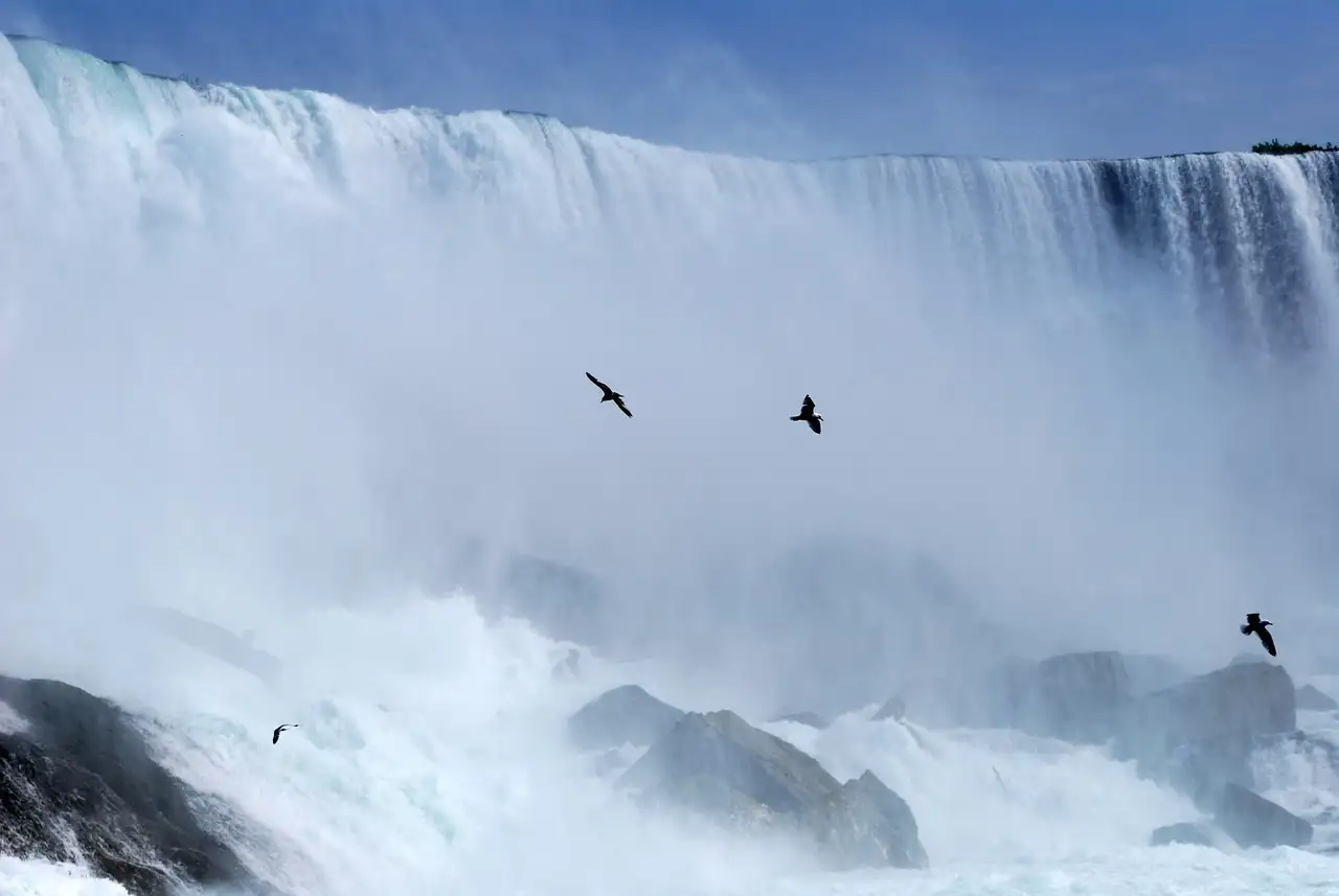 Pájaros que vuelan entre la bruma delante de las cataratas Horseshoe