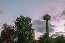 La Skylon Tower al anochecer detrás de árboles altos