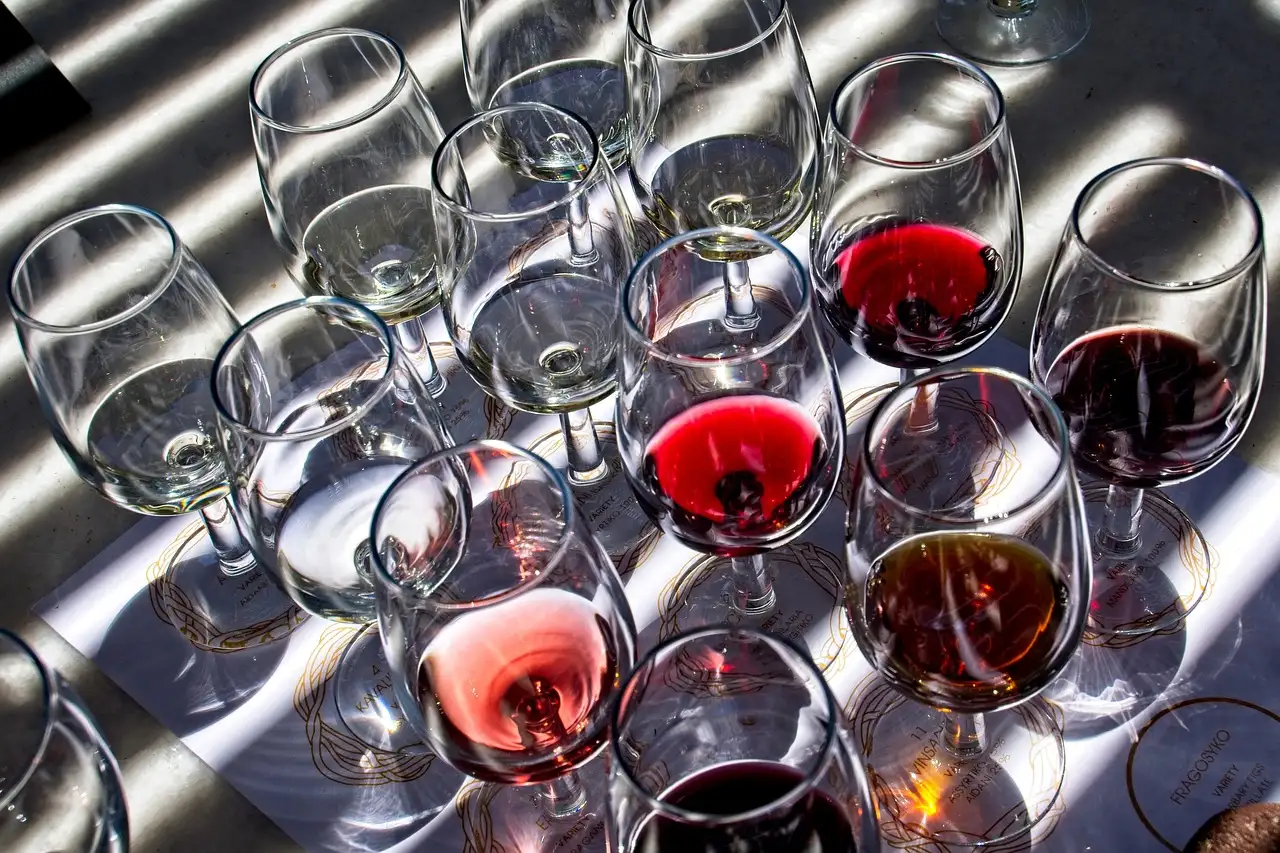 Copas con un poco de vino para catar sobre una mesa al sol