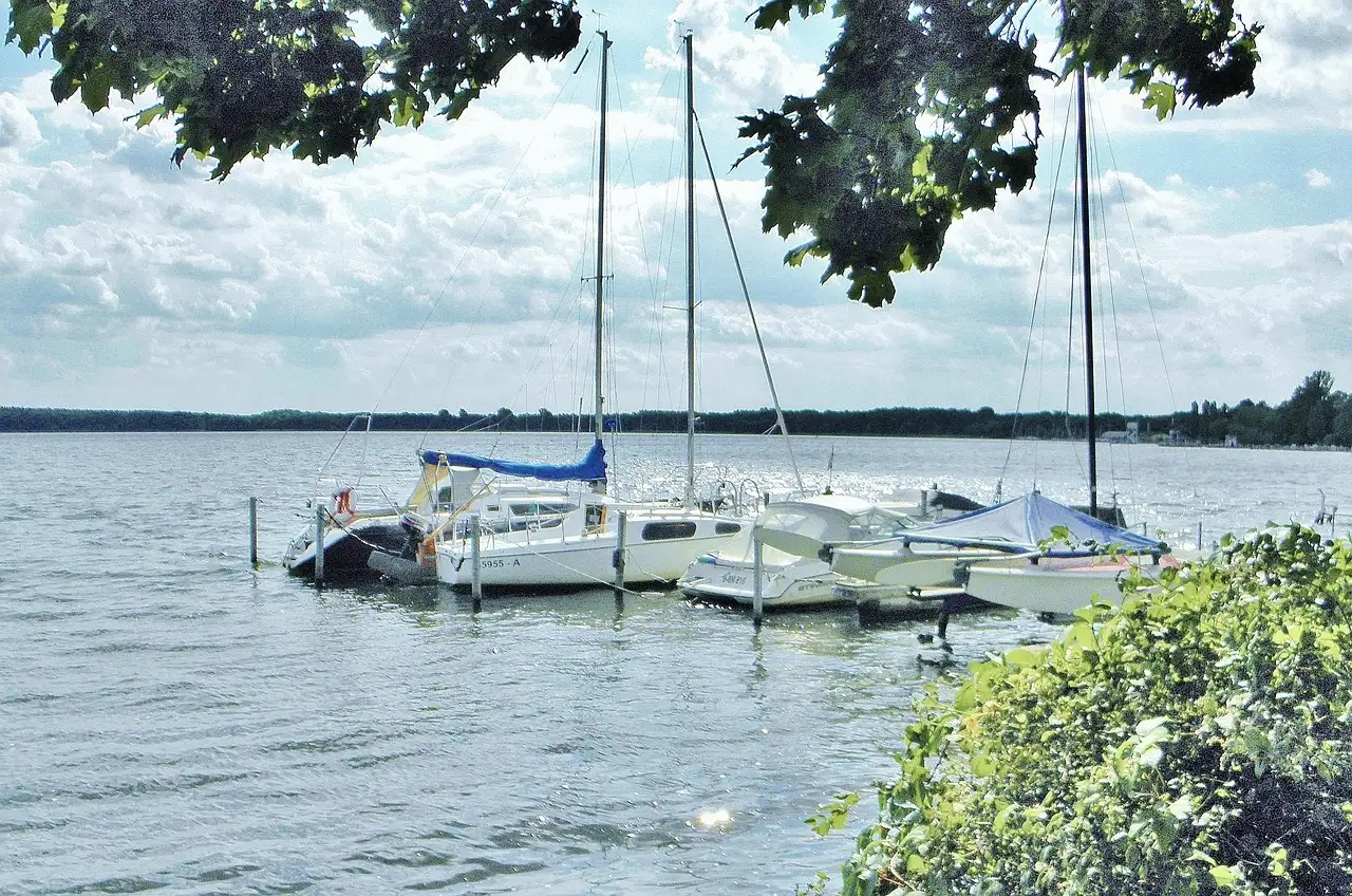 Sailboats moored on a calm lake, framed by trees