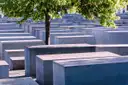 Rows of grey concrete stelae at the Memorial to the Murdered Jews of Europe under a tree