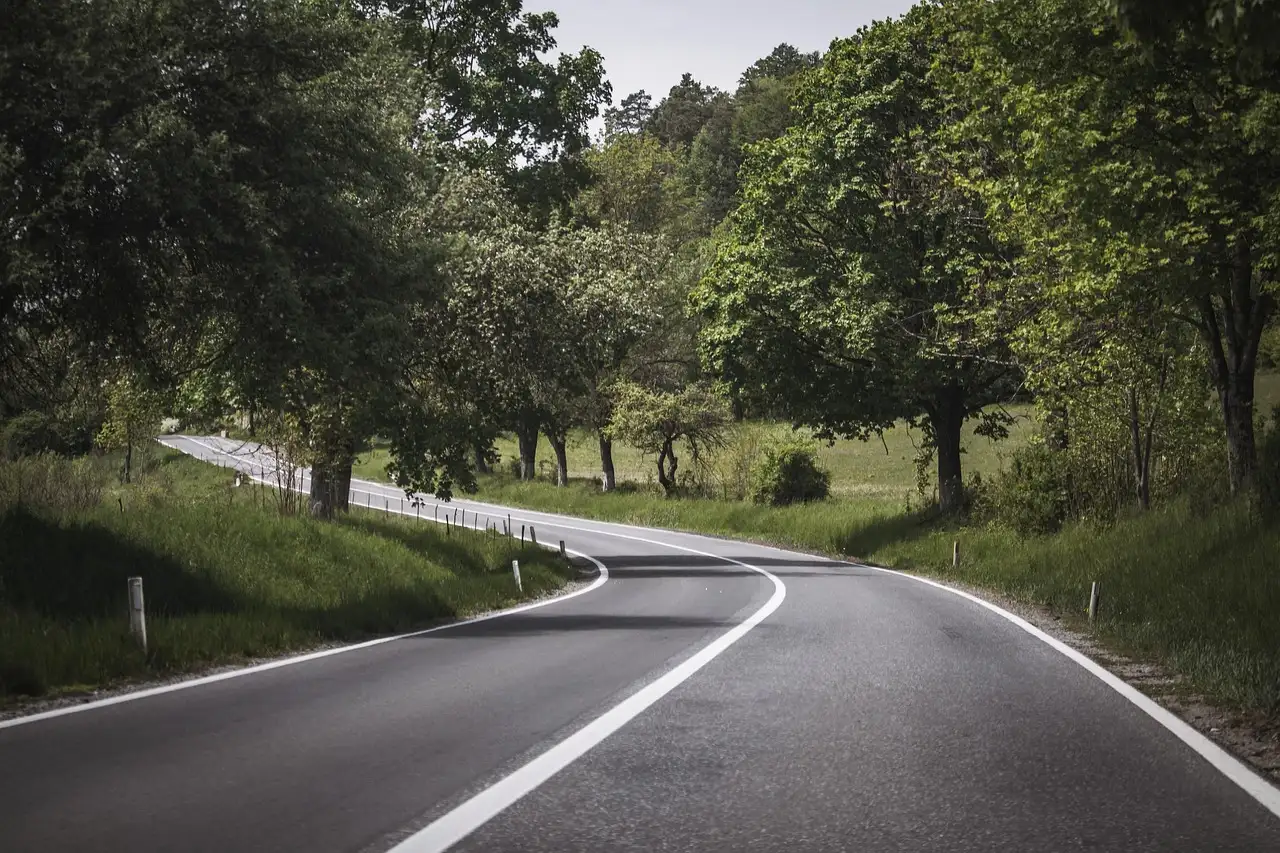 An empty country road curving through green trees