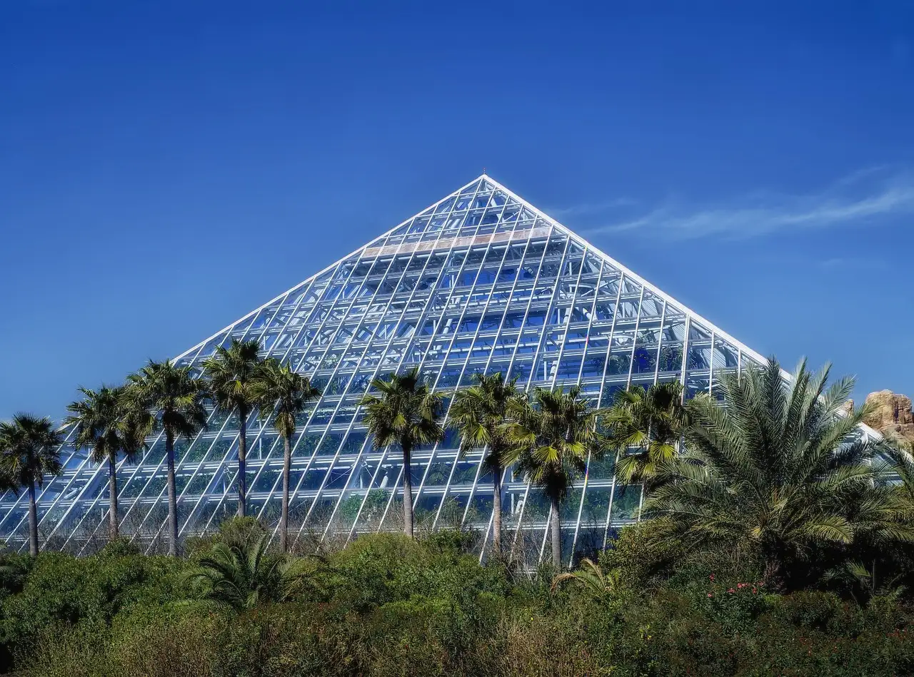 Glass pyramid of Moody Gardens behind palm trees, blue sky
