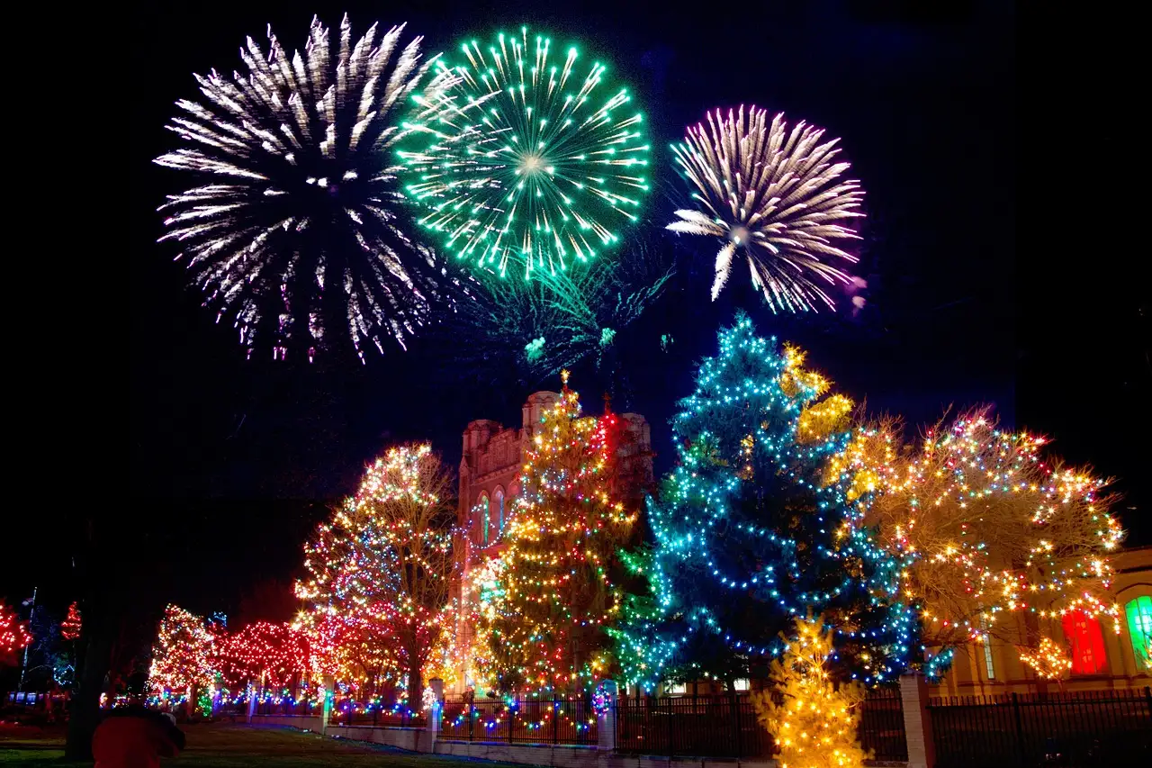 Trees wrapped in multicolour holiday lights with fireworks above, a generic holiday-lights photo