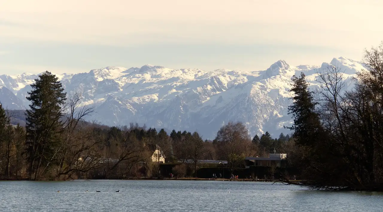 A pond in Salzburg with trees on its shore and snowy mountains behind