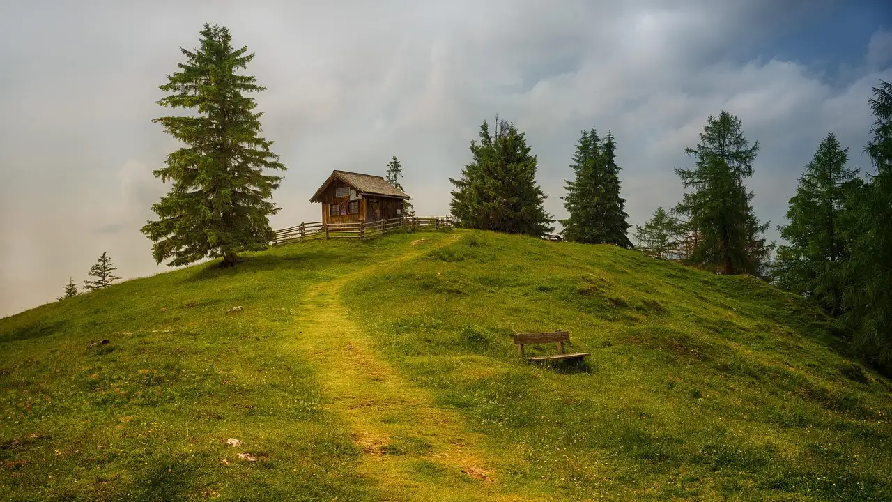 A grassy path up a green hill to a small wooden hut among fir trees
