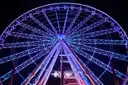 An observation wheel lit violet and blue at night, seen from below