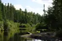 The Madawaska River between pine forest in Algonquin Provincial Park