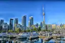 Boats moored at a marina on the Toronto waterfront, with condo towers and the CN Tower behind