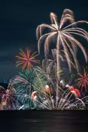 Colourful fireworks bursting above dark water at night